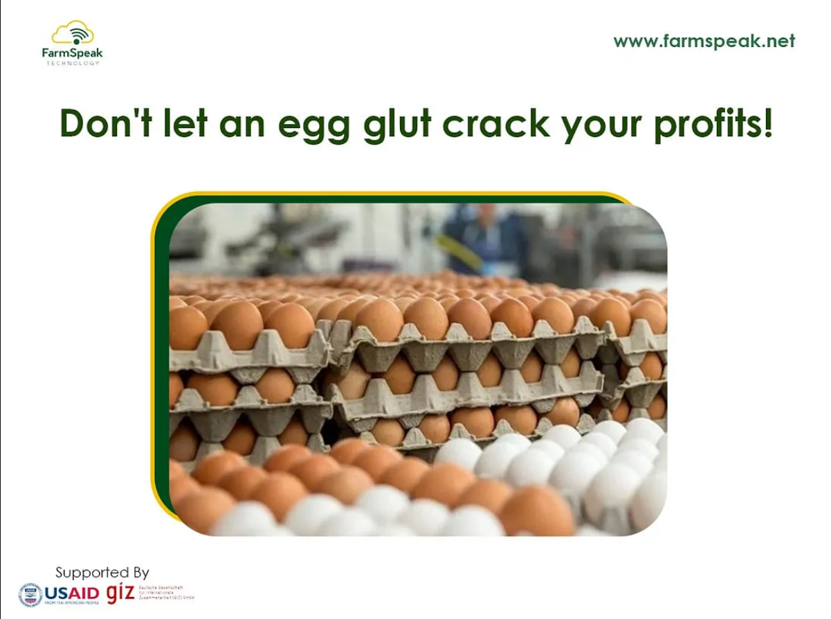 Egg-citing News Don't Let An Egg Glut Crack Your Profits!!