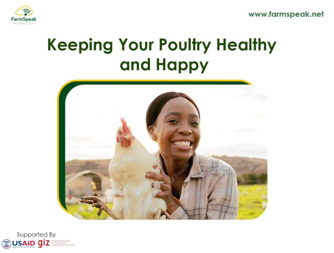 Biosecurity 101: Keeping Your Poultry Healthy And Happy